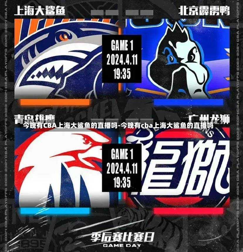 这场比赛的